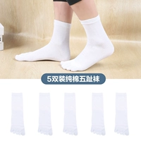 ZMP160 White 5 [Middle Tube Model]