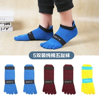 HGD-2 Blue 2 Wine Red 2 желтый 1 [модель коротких труб]]