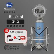 Blue BlueBird Blue Bird large diaphragm condenser microphone microphone YY anchor K song external sound card