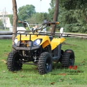 Điện Mini ATV 48v20AN Trục động cơ Không chổi than Công viên Sân chơi Taxi Bốn bánh