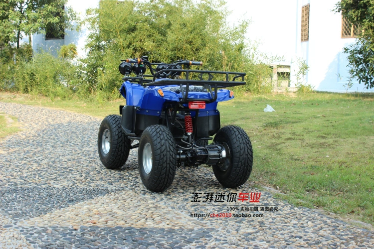 Electric Bull ATV Autene vi sai Xe bốn bánh Xe bốn bánh lái xe địa hình