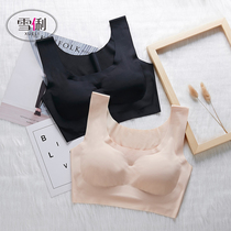 Xueli summer sports underwear womens bras gathered without steel ring bra spring and summer seamless Japanese running beauty back vest