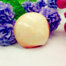 Natural conch shell 4-10cm powder clam White Pearl Fish Tank decoration landscaping creative home accessories