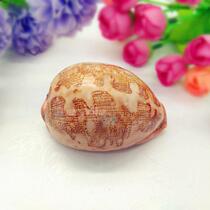 Natural conch shell 6-8cm map treasure snail fish tank decoration aquarium landscaping creative home accessories