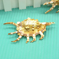 Natural conch shell seven horns black scorpion snail platform fish tank decorations aquarium landscaping pictures props ornaments