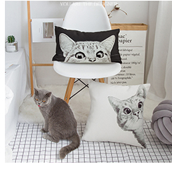 ins Bắc Âu nhỏ gọn bột đen chó English gối bìa thắt lưng gối đệm phòng ngủ phòng khách sofa đệm - Trở lại đệm / Bolsters gối tựa lưng ghế gỗ