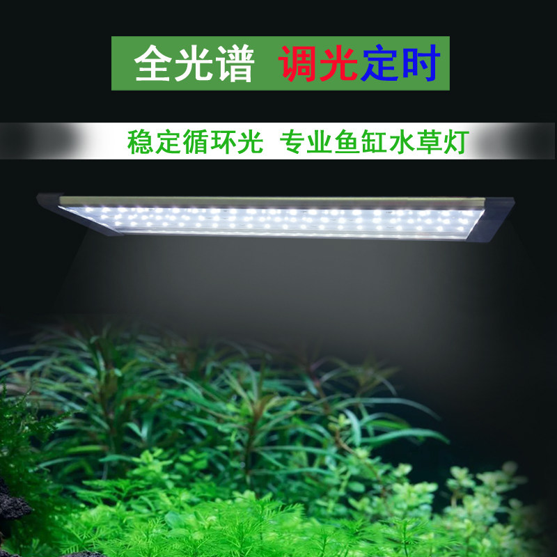 Jing Feng Shui straw lamp led full spectrum straw cylinder special lighting dimming timing water group waterproof bracket to watch and increase