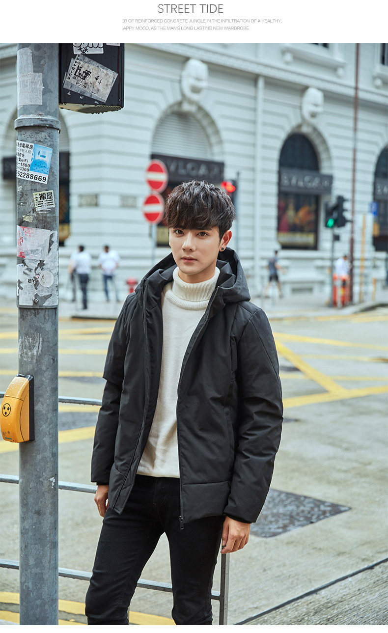 Blouson homme      en Polyester - Ref 3121651 Image 24