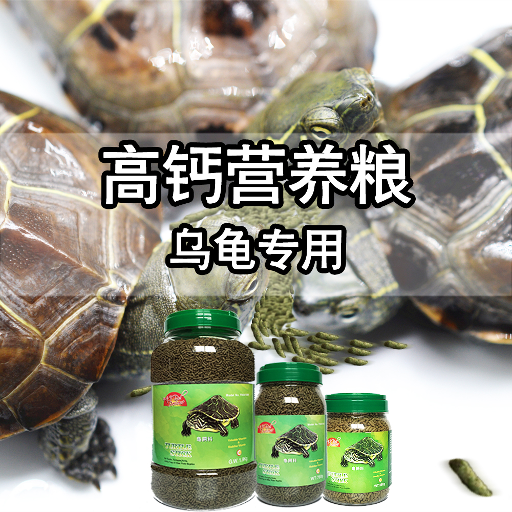 Red Tortoise Turtle Brazilian Turtle Turtle Turtle Turtle Turtle Spot Turtle Feed High Protein High Calcium Turtle