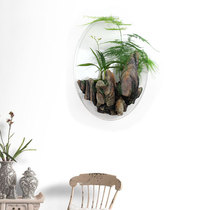 Anhumboo plant pot green flower office European mountain transparent wall wall hanging pot