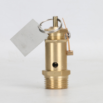 A21W-16T air compressor safety valve relief valve 3KW steam generator boiler accessories safety valve 4 points
