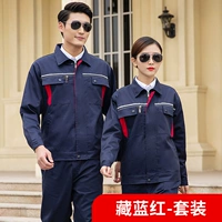 Модель тибетской голубой крови Bhong B (модернизированная модель)