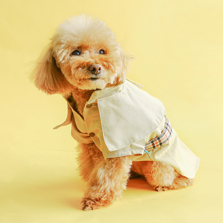 Cute Dog Coat Image 2