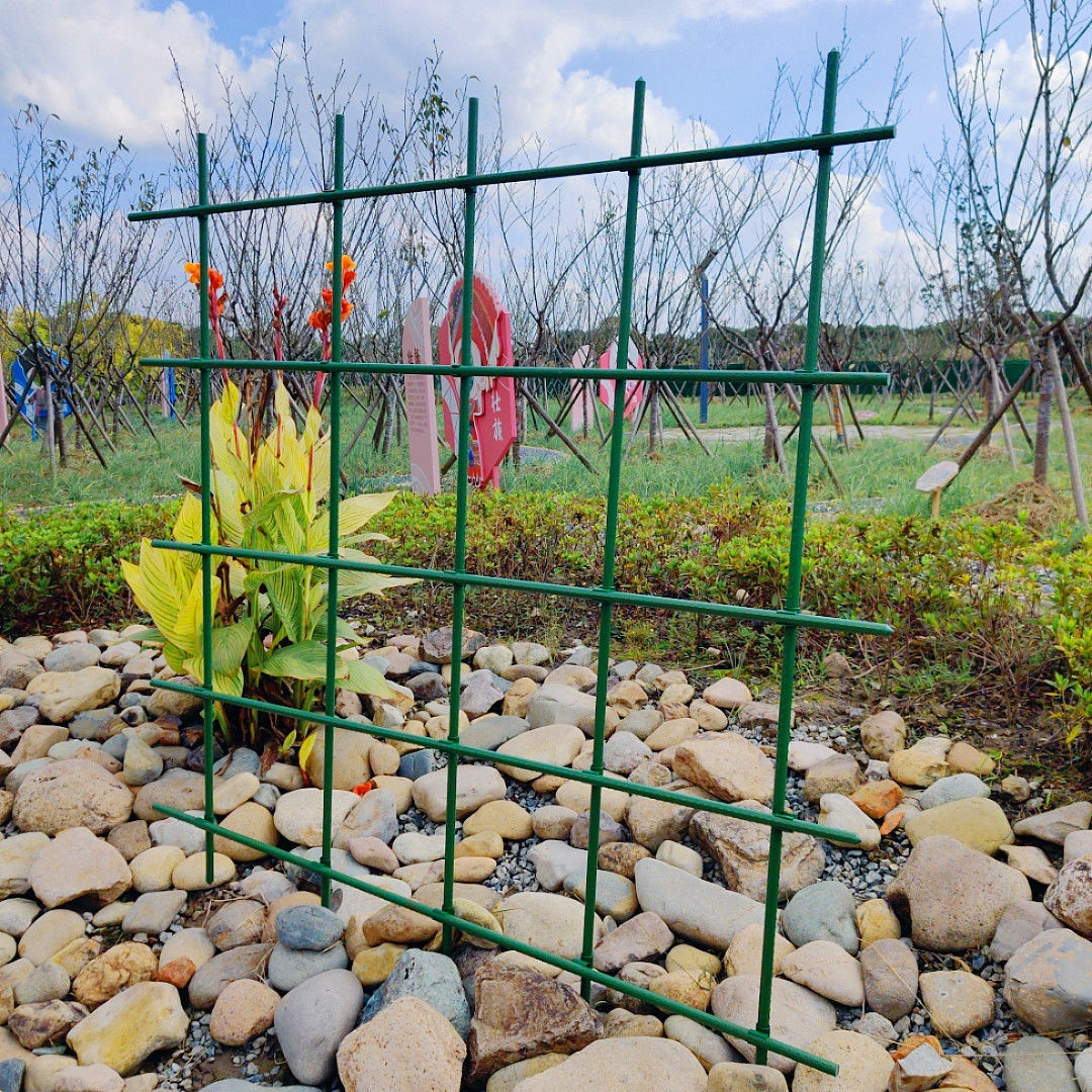 Vine plant climbs vine rack floral frame, wooden scent vine climbs monthly orchid garden bracket support