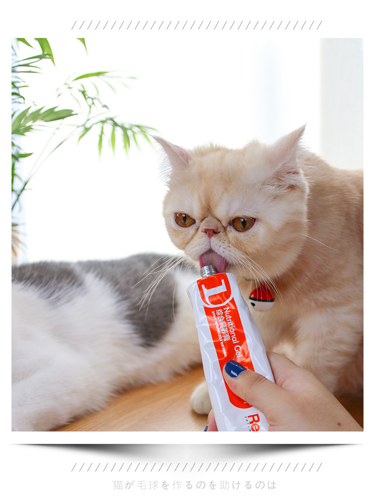 Cat Gila - Red Dog dinh dưỡng kem 120g Pet Dog Cat dinh dưỡng Kem cho mèo Mèo con mèo Sản phẩm sức khỏe cho mèo con uống sữa gì
