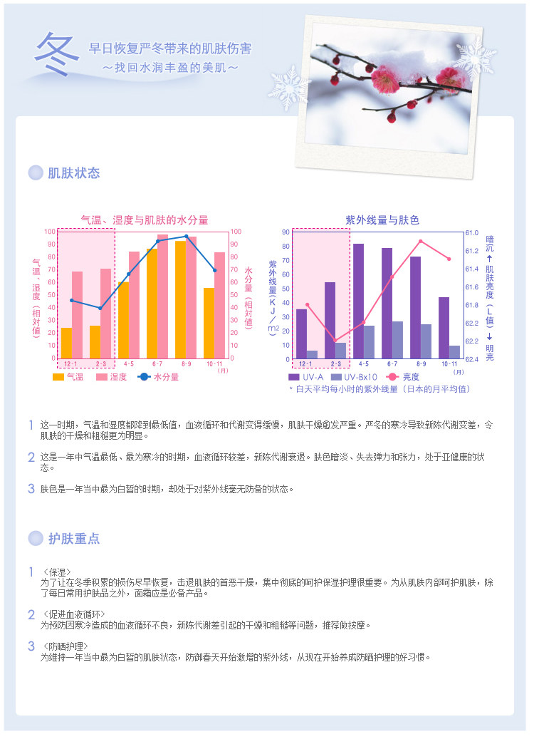 Accessoire cheveux en autre - Ref 1203586 Image 23