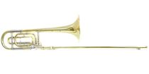 PLAYTECH PTSL-300 Gold Authentic Tall 