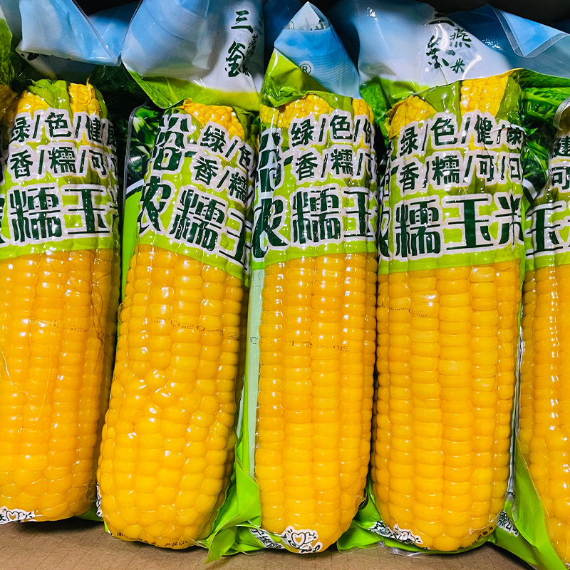 (10 bars) Northeast sweet waxy corn fresh sticky corn cob vacuum ready-to-eat corn fertilizer reduction meal