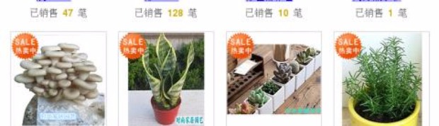 Ceramsite cung cấp thủy canh / không trồng trọt trồng xanh ma trận ceramsite / thông gió thoát nước sàn chậu thảm hoa trang trí chậu - Nguồn cung cấp vườn bình xịt tưới cây