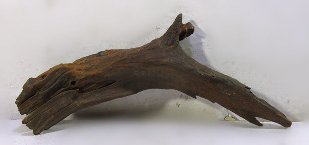  A1373.jpg