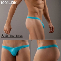 Mens mesh U - bump waist - typed underwear sexy men gay pants for men gay fun supplies