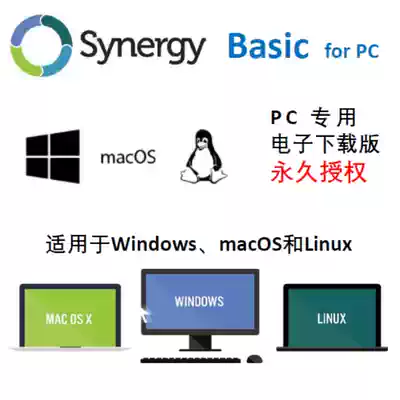 Genuine office software Synergy Basic v1 13 0 Lifetime activation code online Key
