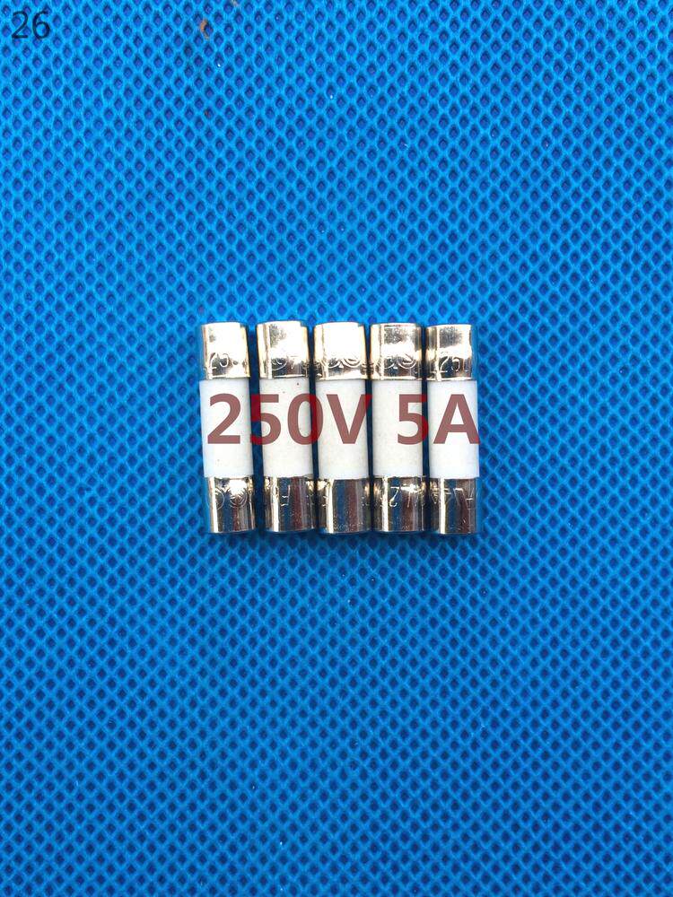 5 * 20 CERAMIC INSURANCE PIPE 250V 5A