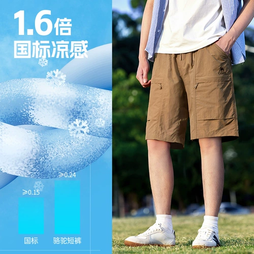 Хлопковые летние тонкие дышащие шорты, спортивные штаны для отдыха, свободный прямой крой