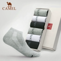 Lạc đà kháng khuẩn và khử mùi thấm hút mồ hôi thể thao vớ bốn mùa vớ thể dục nam chạy vớ cotton 6 đôi - Vớ thể thao tất cao cổ