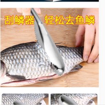 Manual household scale scraper for killing fish