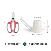 Белый красный чайник, ножницы