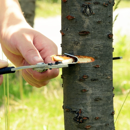 Новый тип кольцевой режущий нож и кольцо фруктов, очищающее яблочное джи -джиб -галстук