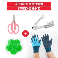 Устройство серебряного шипа+шипы+перчатки+разрез цветов