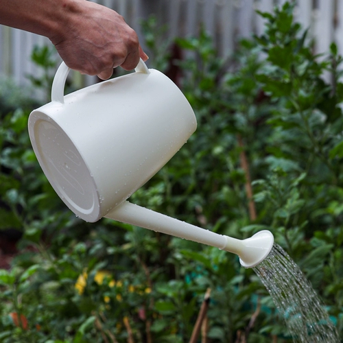 Длинно -южный водолаз