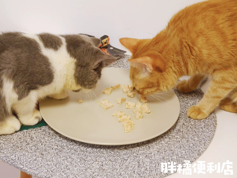 Cat Snacks Gà luộc ức gà hấp gà ức gà Snacks thịt gà thịt gà dải