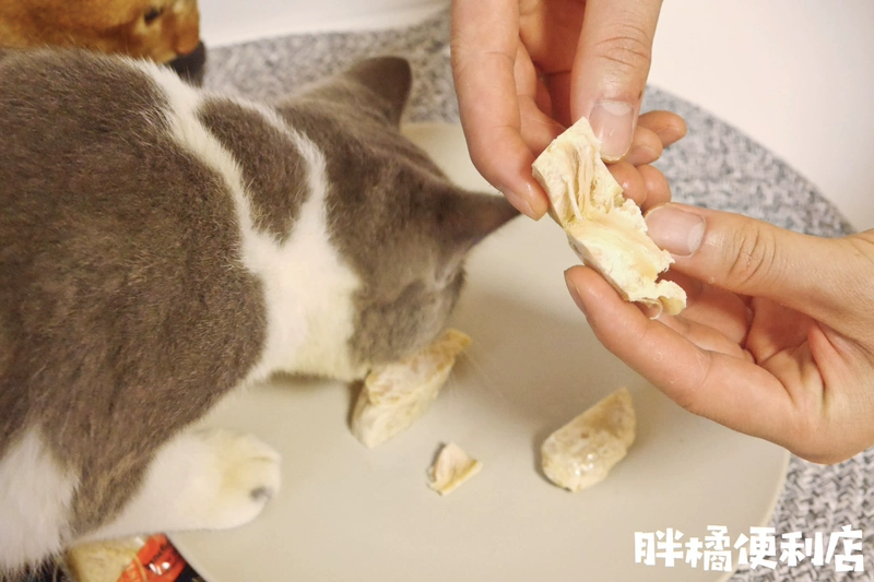 Cat Snacks Gà luộc ức gà hấp gà ức gà Snacks thịt gà thịt gà dải