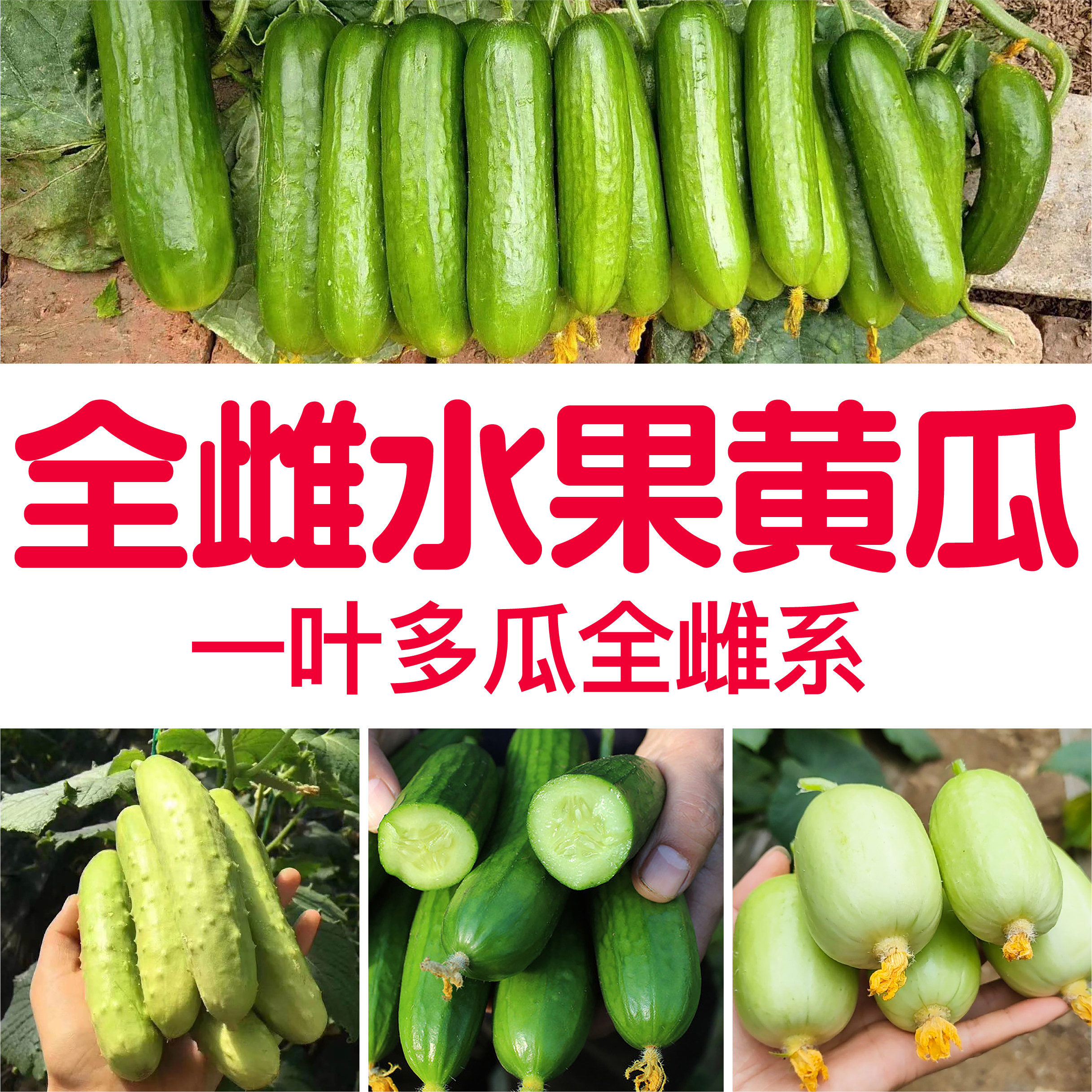 🔥北瓜的6种神仙吃法，好吃到停不下来！建议收藏！-生活-淘宝百科网