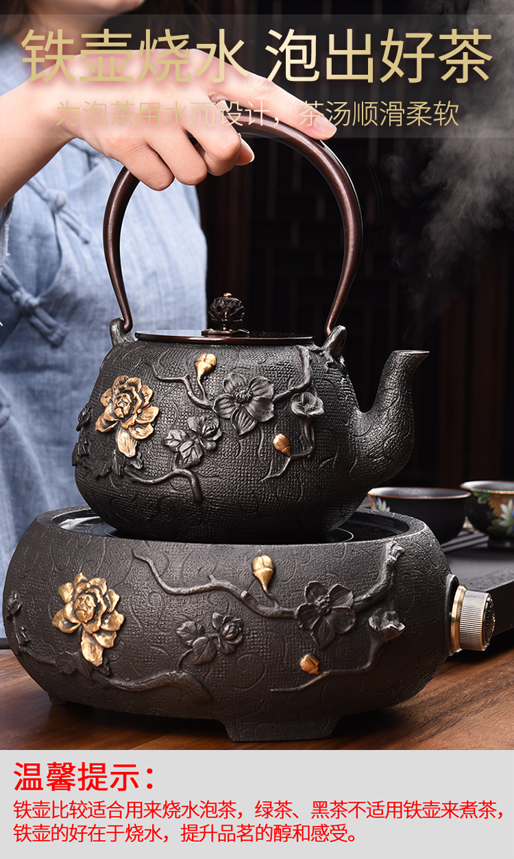 HaoFeng suit the electric TaoLu boiled tea, the iron pot of cast iron tea special electric TaoLu boiled tea, imitation, boil the kettle