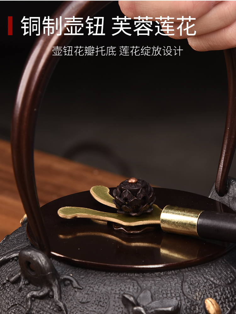 HaoFeng suit the electric TaoLu boiled tea, the iron pot of cast iron tea special electric TaoLu boiled tea, imitation, boil the kettle