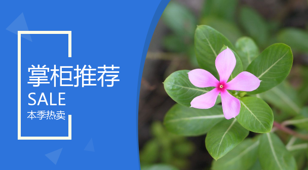 Cost difference in freight