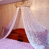 New bed mantle mosquito net Princess color sequined embroidered bedside gauze anti mosquito decoration cute girl heart with Crown rack