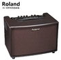 Roland Roland AC60 AC60R60 AC-60RW Loa Guitar Acoustic Chơi Loa Âm thanh - Loa loa loa kovit