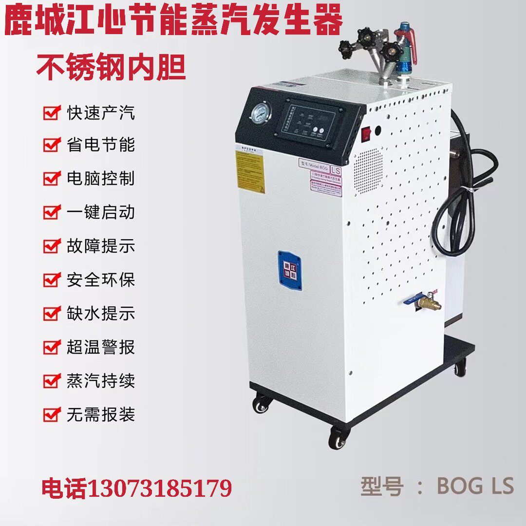 Deer City Jiangcenter Electric heating steam generator BOG LS energy-saving generator industrial boiler