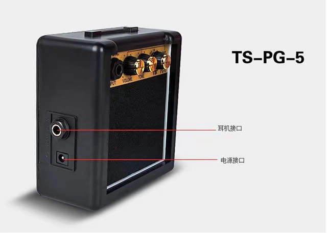 Chính hãng TS Tang Sheng 5 Wát Xách Tay Mini Guitar Nhạc Cụ Pin Điện Dual-sử dụng PG5 Gửi Phụ Kiện