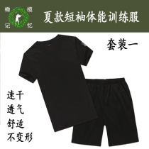 短袖体能训练服黑色夏款灰色透气勤务作训服公发运动服圆领T