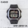 DW-291H-1A