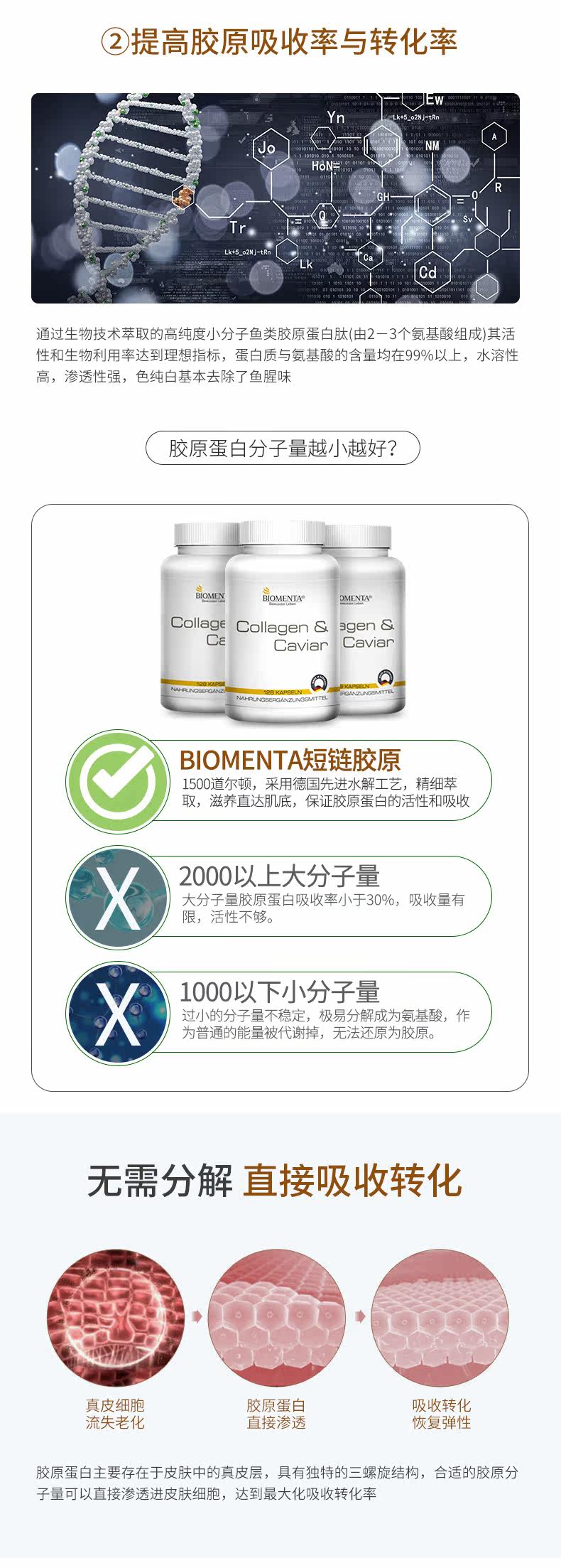 Коллаген 01_03.jpg