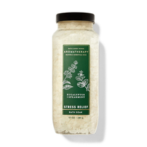 Aromatherapy Stress Reduction BBW Eucalyptus Mint Luxury Soak Bath Salt Bath&Body Works 481G