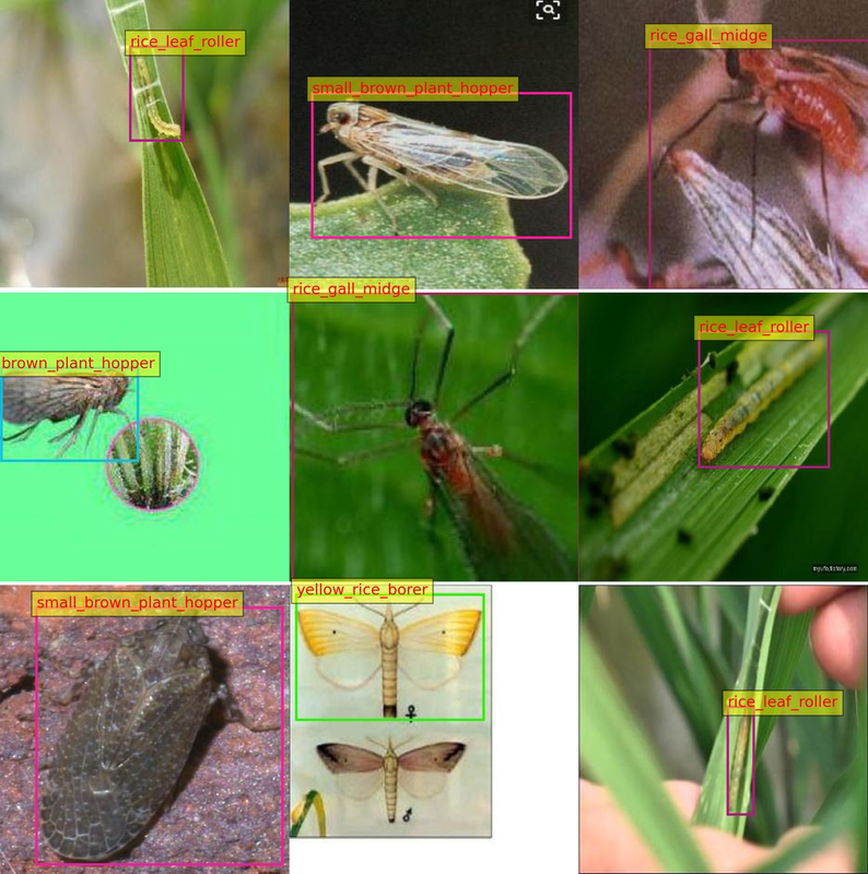 Rice Pest Target Detection Data Set, 3156 Images, Provides Both Yolo and Voc Annotation Methods