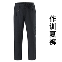 Летние штаны